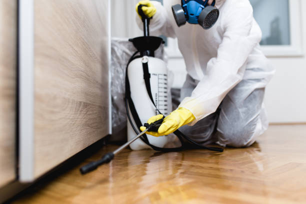 Best Pest Control Cost  in Konterra, MD