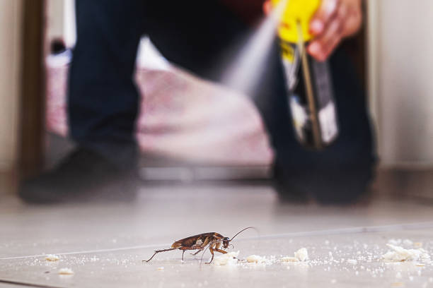 Best Best Pest Control Near Me  in Konterra, MD