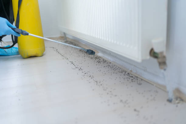 Best Emergency Pest Control  in Konterra, MD